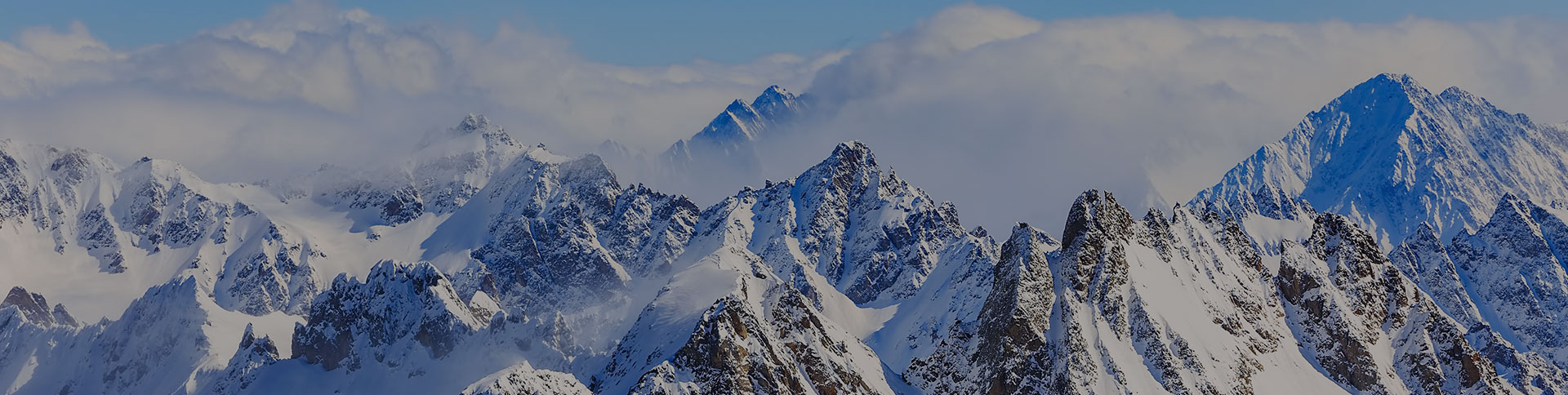 新毅控股企業(yè)宣傳網(wǎng)站|一網(wǎng)天行-網(wǎng)站建設小程序APP系統(tǒng)軟件開發(fā)公司