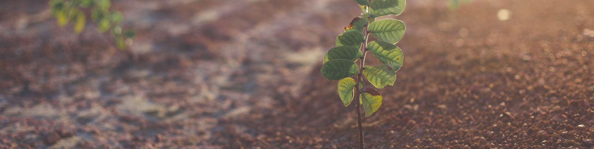 微源生物企業(yè)宣傳網(wǎng)站|一網(wǎng)天行-網(wǎng)站建設小程序APP系統(tǒng)軟件開發(fā)公司