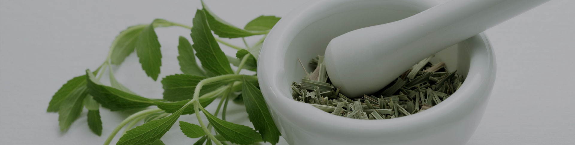 種藥吧-中藥供需信息發(fā)布平臺(tái)|一網(wǎng)天行-網(wǎng)站建設(shè)小程序APP系統(tǒng)軟件開(kāi)發(fā)公司