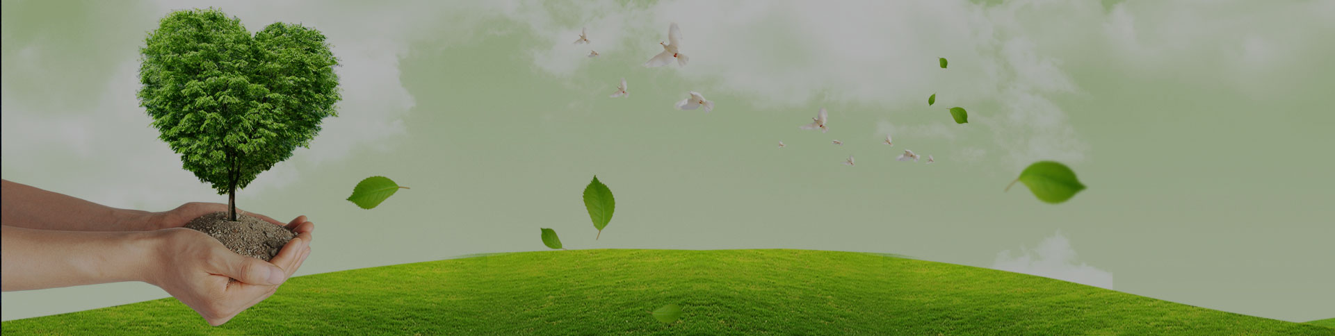 吉林天澤企業(yè)宣傳網(wǎng)站|一網(wǎng)天行-網(wǎng)站建設(shè)小程序APP系統(tǒng)軟件開發(fā)公司 吉林天澤企業(yè)宣傳網(wǎng)站|一網(wǎng)天行-網(wǎng)站建設(shè)小程序APP系統(tǒng)軟件開發(fā)公司