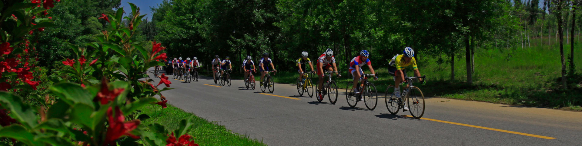 京西北旅游宣傳網(wǎng)站|一網(wǎng)天行-網(wǎng)站建設(shè)小程序APP系統(tǒng)軟件開發(fā)公司 京西北旅游宣傳網(wǎng)站|一網(wǎng)天行-網(wǎng)站建設(shè)小程序APP系統(tǒng)軟件開發(fā)公司