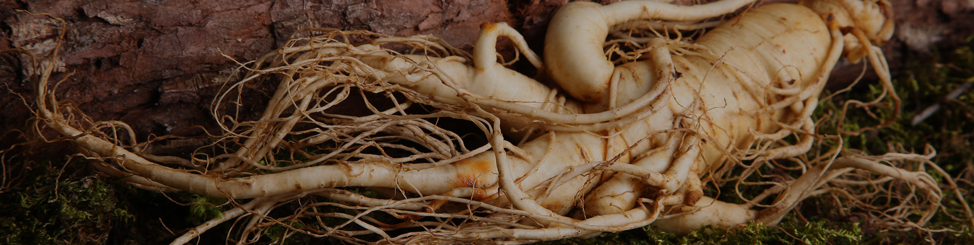 正德藥業(yè)-品牌營銷網(wǎng)站|一網(wǎng)天行-網(wǎng)站建設(shè)小程序APP系統(tǒng)軟件開發(fā)公司 正德藥業(yè)-品牌營銷網(wǎng)站|一網(wǎng)天行-網(wǎng)站建設(shè)小程序APP系統(tǒng)軟件開發(fā)公司