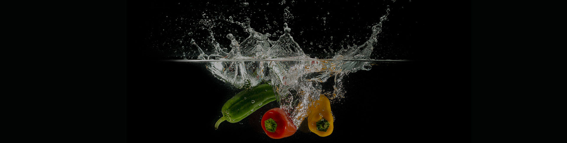 晉漢子品牌宣傳網(wǎng)站|一網(wǎng)天行-網(wǎng)站建設(shè)小程序APP系統(tǒng)軟件開發(fā)公司