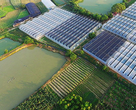 健康產(chǎn)業(yè)集團(tuán)公司品牌宣傳網(wǎng)站|一網(wǎng)天行-網(wǎng)站建設(shè)小程序APP系統(tǒng)軟件開發(fā)公司 健康產(chǎn)業(yè)集團(tuán)公司品牌宣傳網(wǎng)站|一網(wǎng)天行-網(wǎng)站建設(shè)小程序APP系統(tǒng)軟件開發(fā)公司