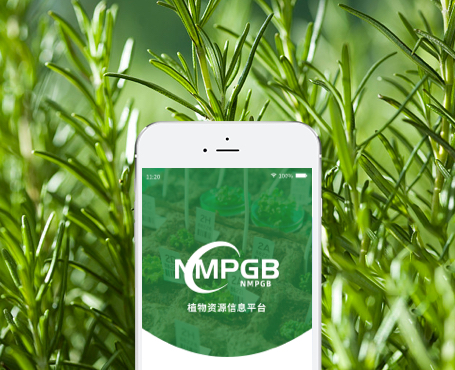 藥植所-植物資源信息平臺APP|一網(wǎng)天行-網(wǎng)站建設(shè)小程序APP系統(tǒng)軟件開發(fā)公司
